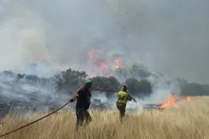 Φωτιά στα Φάρσαλα: Καίγεται αγροτοδασική έκταση στην Κυρά – Επιχειρούν επίγειες και εναέριες δυνάμεις