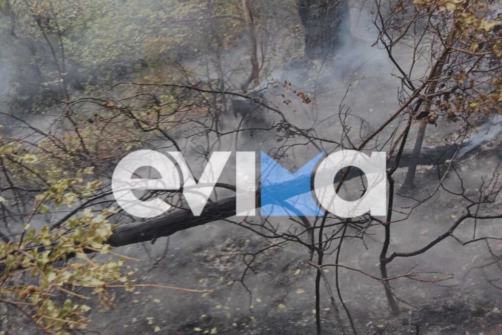 Φωτιά στην Εύβοια: Πιθανή αιτία η πτώση κεραυνού