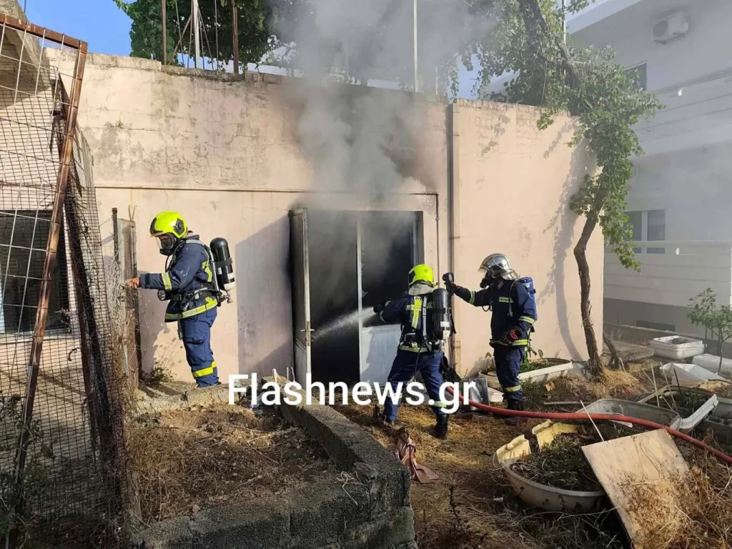 Εσωτερική εικόνα άρθρου