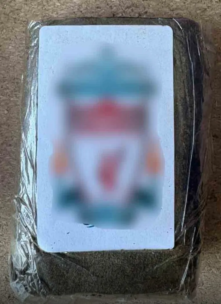 Εσωτερική εικόνα άρθρου