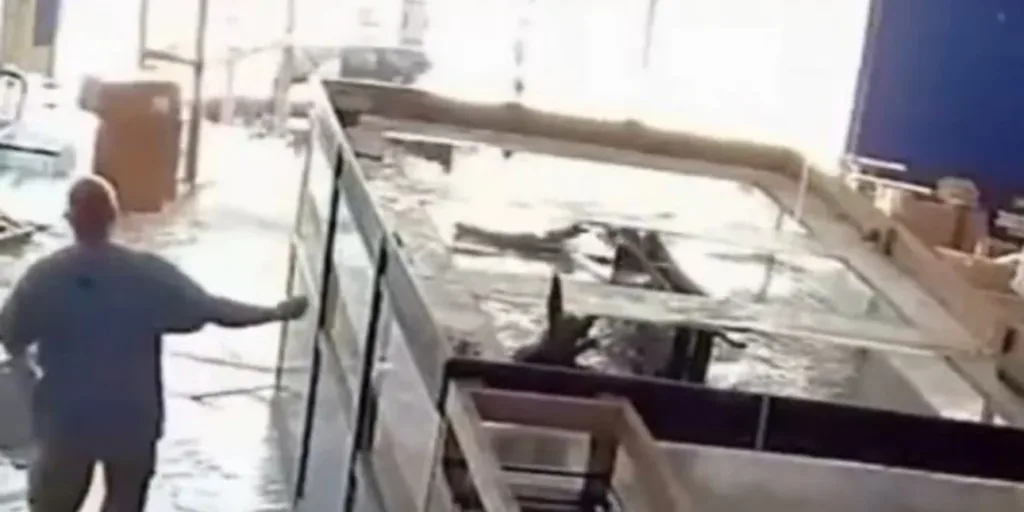 Βίντεο: Ενυδρείο 7.500 λίτρων έσπασε μέσα σε pet shop -«Μαζεύαμε ψάρια ακόμα και στο πάρκινγκ»