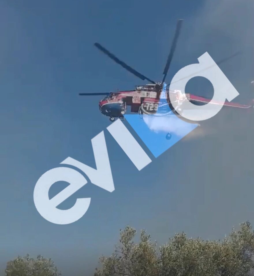 Εσωτερική εικόνα άρθρου