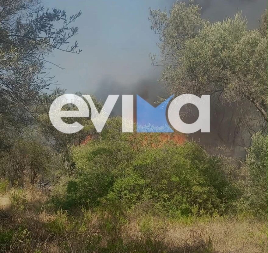 Εσωτερική εικόνα άρθρου