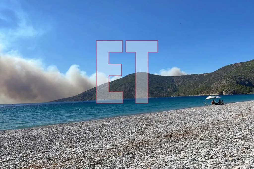 Εσωτερική εικόνα άρθρου