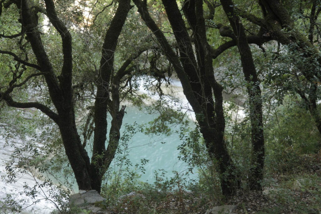Άνδρας εντοπίστηκε χωρίς τις αισθήσεις του σε φαράγγι στη Βόνιτσα – Επιχείρηση για την ανάσυρσ