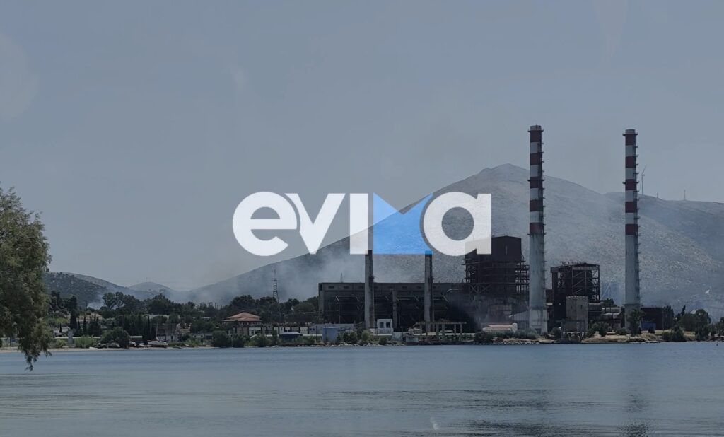 Φωτιά στην Εύβοια: Οριοθετήθηκε το πύρινο μέτωπο στο Μηλάκι Αλιβερίου