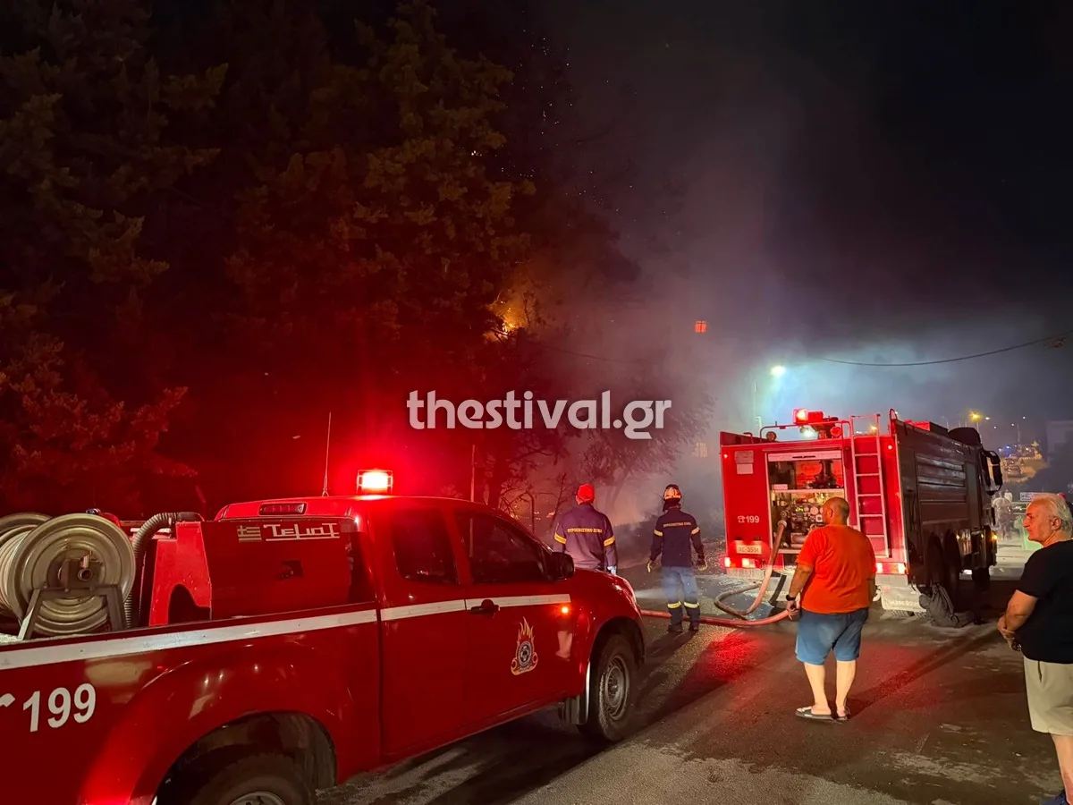 Εσωτερική εικόνα άρθρου