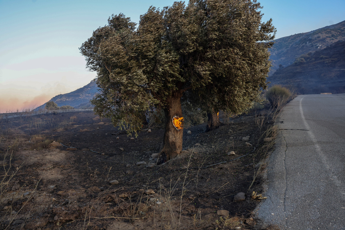Στις φλόγες δέντρο στην περιοχή του Ρεθύμνου REUTERS/Stringer