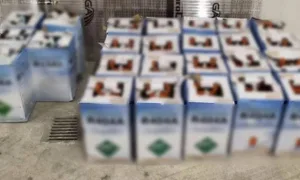 Καστοριά: Κατασχέθηκαν 286 κιλά παράνομου υγρού φρέον από την Αλβανία – Συνελήφθη ένας 43χρον