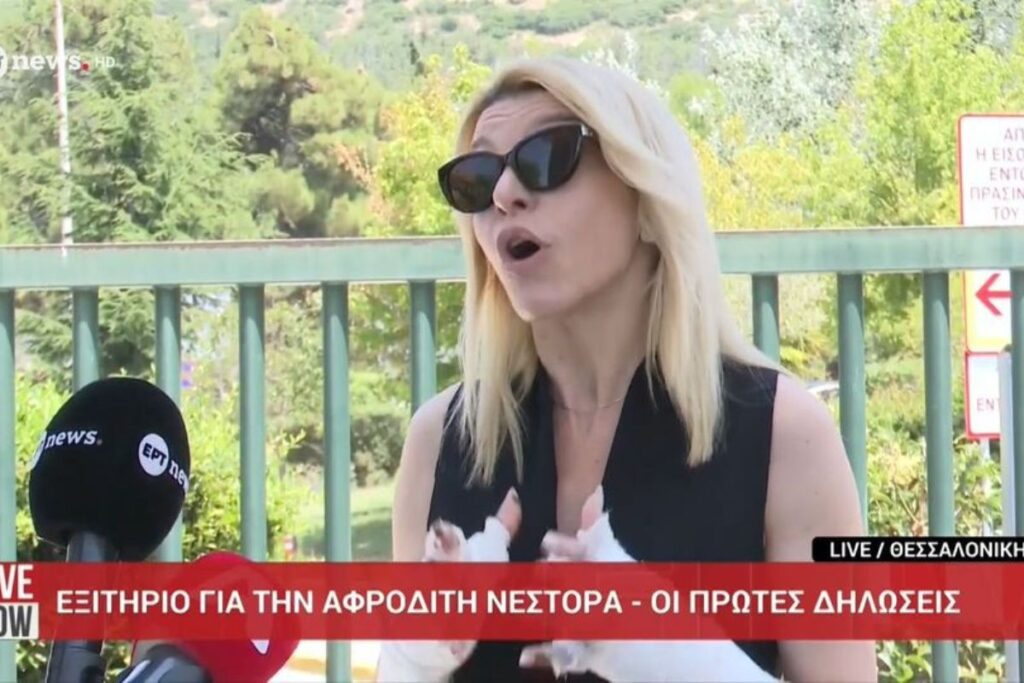 Αφροδίτη Νέστορα: «Ήταν δολοφονική ενέργεια, θα ξανασταθώ στα πόδια μου»