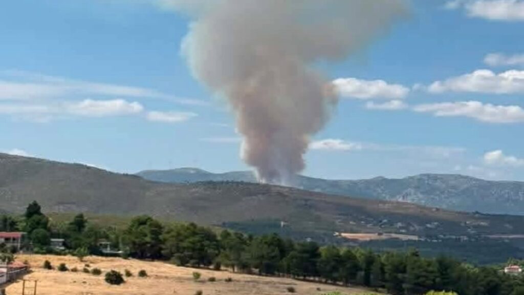 Φωτιά τώρα στην Οινόη Αττικής: Ενισχύθηκαν οι δυνάμεις, που έχει διακοπεί η κυκλοφορία – «Χειρ
