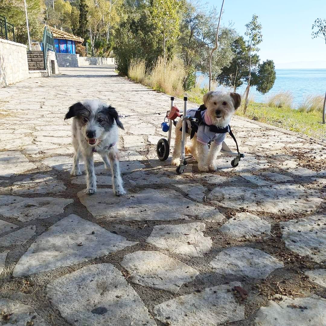 Εσωτερική εικόνα άρθρου