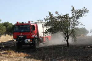 Φωτιά τώρα στην Κερατέα – Νέος συναγερμός στην Πυροσβεστική