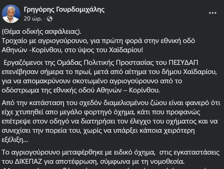 Εσωτερική εικόνα άρθρου