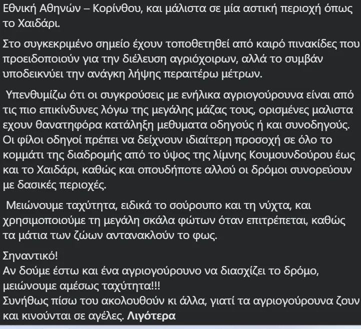 Εσωτερική εικόνα άρθρου