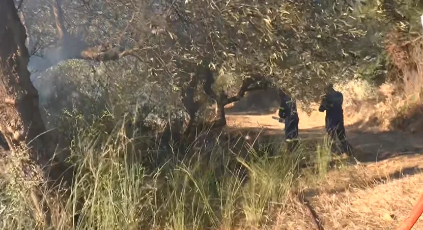 Φωτιά τώρα στην Αχαΐα: Δύο πύρινα μέτωπα και εκκένωση χωριού με 112 – Δύσκολη μάχη με τους ανέμους