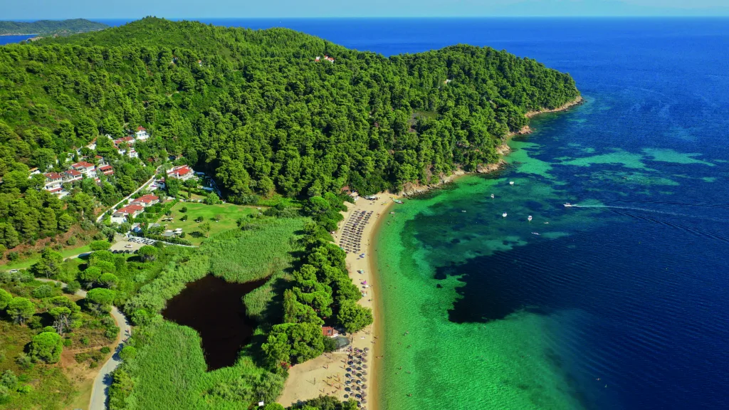 Εσωτερική εικόνα άρθρου