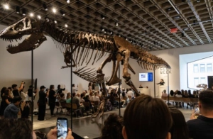 «Πανάκριβος» T-Rex: Στα 50 εκατ. δολάρια η τιμή πώλησης του σκελετού στη Νέα Υόρκη