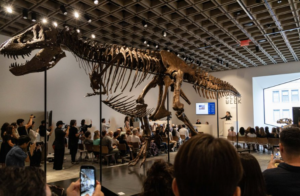 «Πανάκριβος» T-Rex: Στα 50 εκατ. δολάρια η τιμή πώλησης του σκελετού στη Νέα Υόρκη