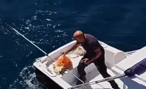 Σύρος: Διάσωση θαλάσσιας χελώνας από πλήρωμα σκάφους – Είχε εγκλωβιστεί σε σχοινιά [Δείτε βίντ