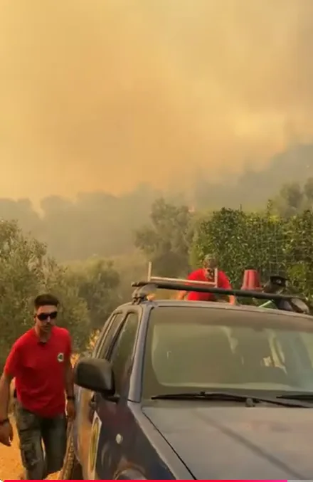 Εσωτερική εικόνα άρθρου