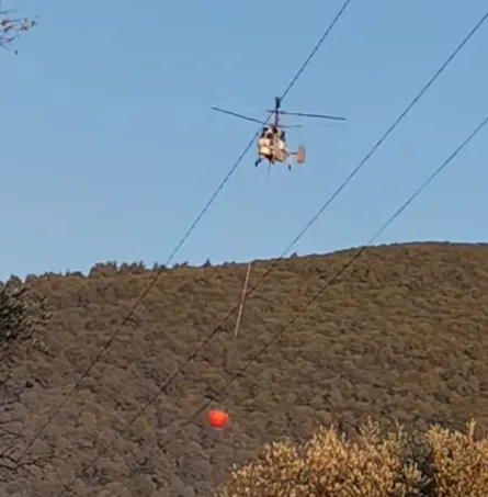 Εσωτερική εικόνα άρθρου