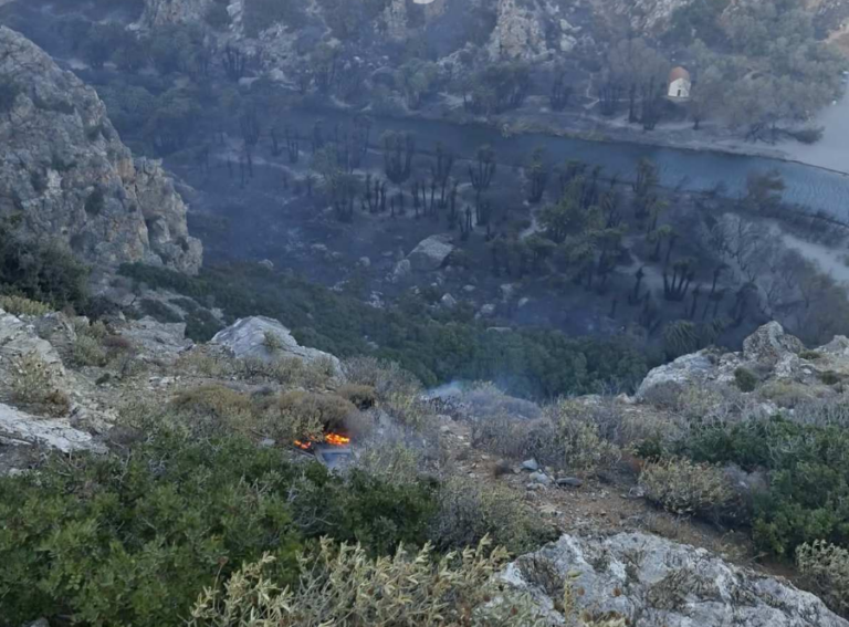 Ρέθυμνο: Το μεγαλύτερο μέρος του Φοινικόδασους του Πρέβελη διασώθηκε από την πυρκαγιά