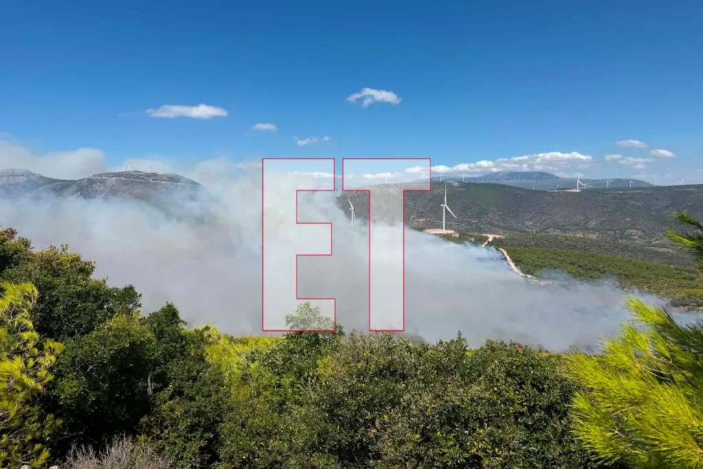 Βοιωτία: Πύρινα μέτωπα σε Καλαμάκι Θήβας και Ξηρονομή – Απανωτά τα μηνύματα 112 – Δείτε 