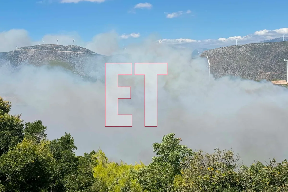 Εσωτερική εικόνα άρθρου