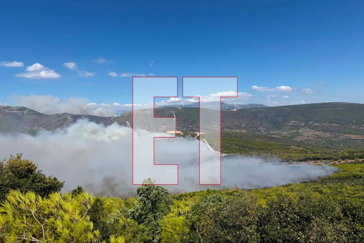 Εσωτερική εικόνα άρθρου