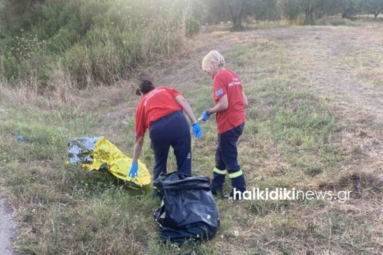 Τροχαίο δυστύχημα στη Χαλκιδική: Ελεύθερος ο 44χρονος οδηγός του βυτιοφόρου – Στη ΜΕΘ η 7χρονη