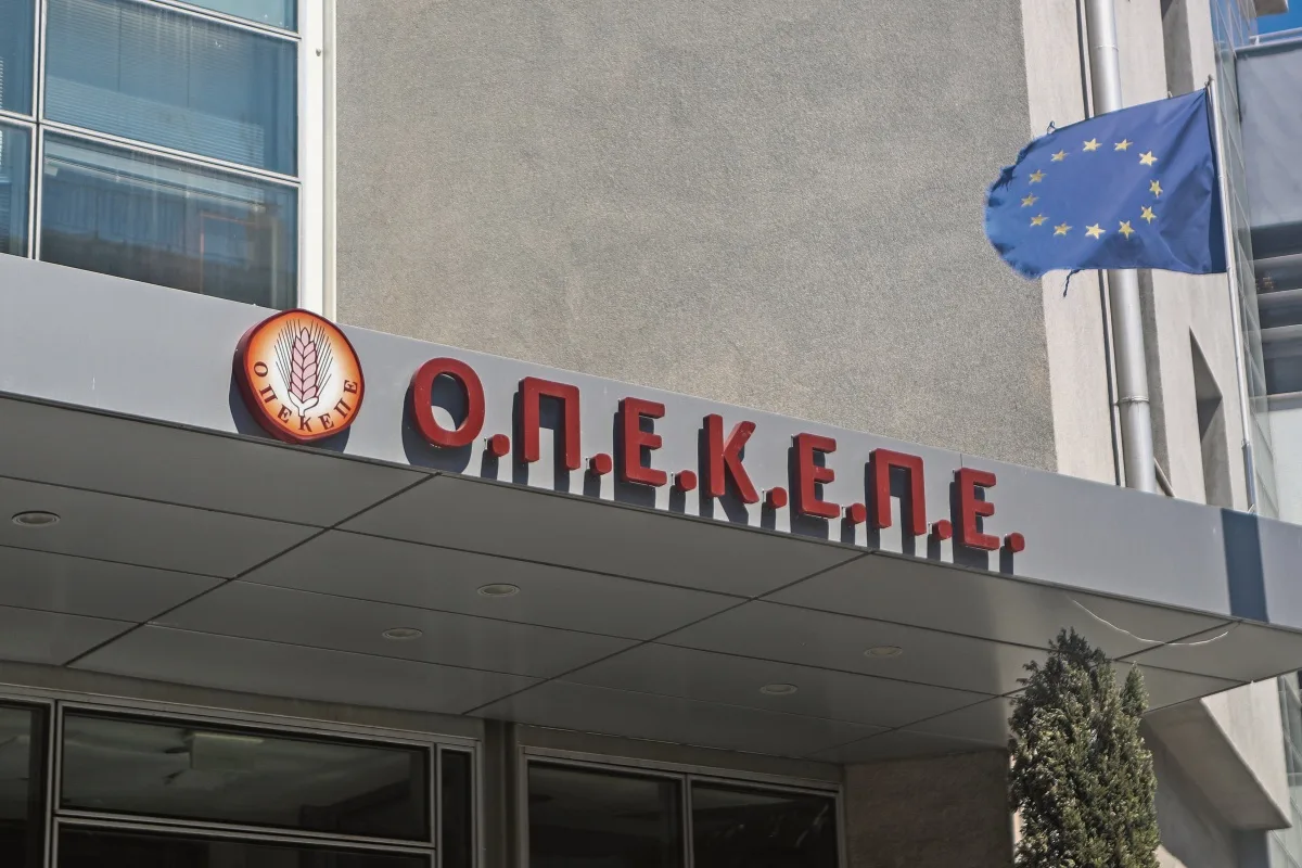 Εσωτερική εικόνα άρθρου