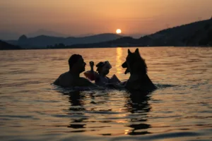 Τι καταλαβαίνει ο σκύλος σου όταν κοιτάζει το πρόσωπό σου