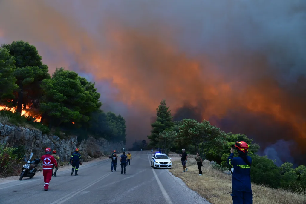 Εσωτερική εικόνα άρθρου