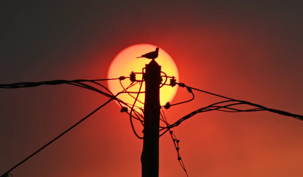 Κρίσιμη Κυριακή για τις φωτιές: Red Code και άνεμοι 7 μποφόρ – Πότε έρχεται η ανάσα