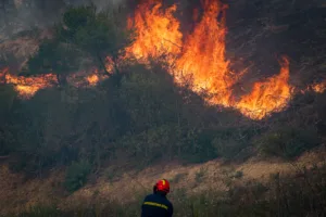 Σκύρος: Προσήχθη ύποπτος για την πυρκαγιά στη Χάρτσα