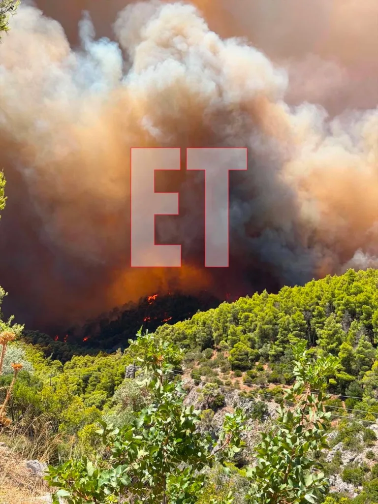 Εσωτερική εικόνα άρθρου