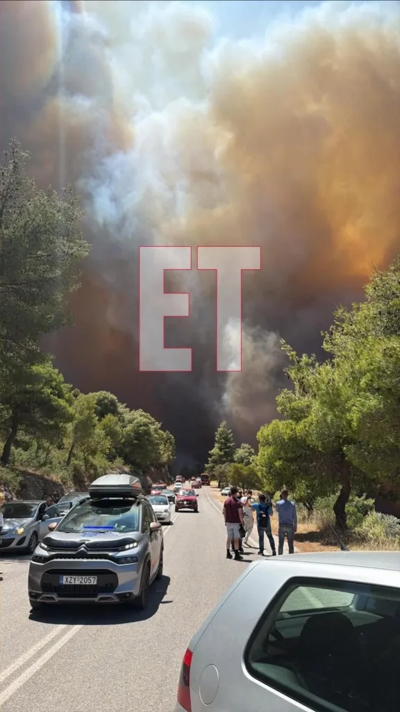 Εσωτερική εικόνα άρθρου