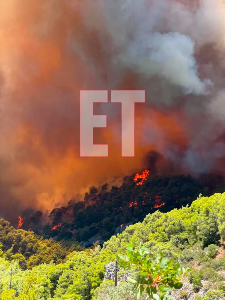 Εσωτερική εικόνα άρθρου