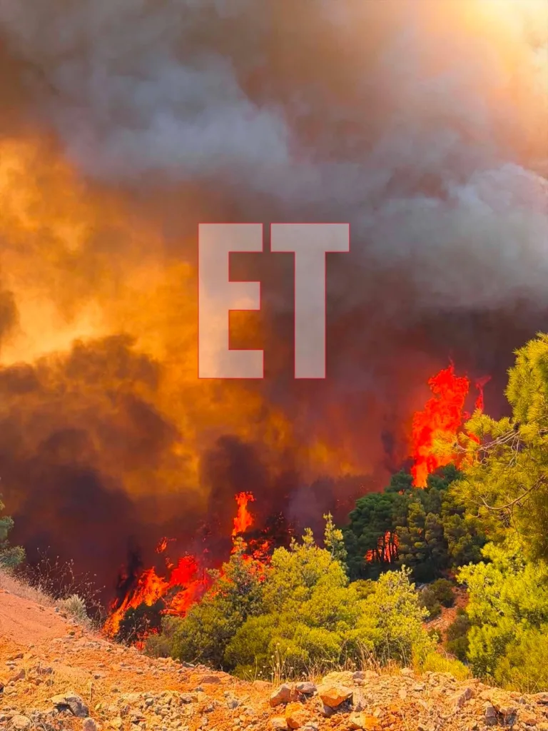 Εσωτερική εικόνα άρθρου