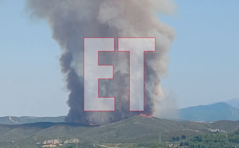 Φωτιά στη Βοιωτία: Συνεχίζεται η μάχη με τις φλόγες ανάμεσα σε Τσουκαλάδες και Άγιο Βλάσιο – Ήχησε το 112