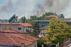 Φωτιά στην Ελάτεια: Οι φλόγες κινούνται προς την Παναγίτσα
