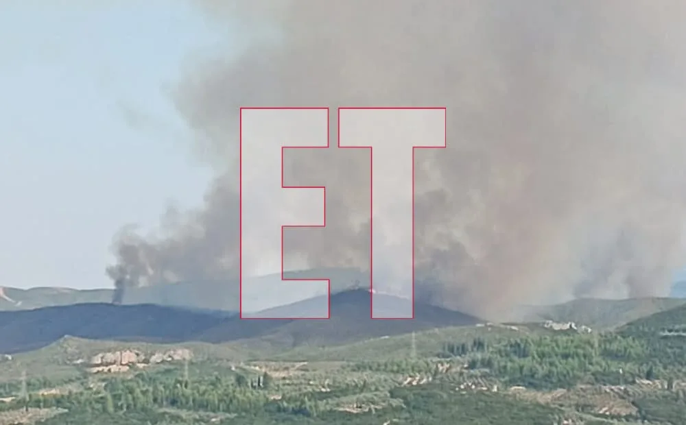Εσωτερική εικόνα άρθρου
