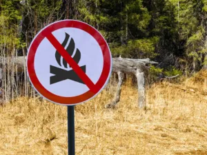 Χαλκιδική: Απαγόρευση κυκλοφορίας σε δασικές περιοχές λόγω υψηλού κινδύνου πυρκαγιάς