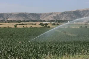 Λειψυδρία: Η Θεσσαλία εκπέμπει SOS – H στάθμη του υδροφόρου ορίζοντα πέφτει κάθε χρόνο