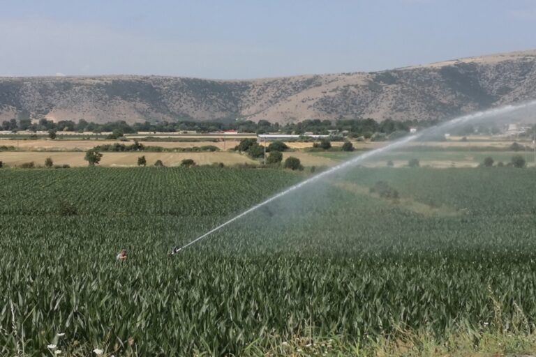 Λειψυδρία: Η Θεσσαλία εκπέμπει SOS – H στάθμη του υδροφόρου ορίζοντα πέφτει κάθε χρόνο