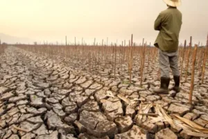 «Καμπανάκι» για το Ελ Νίνιο: Έως 451.000 επιπλέον θάνατοι από ακραία ζέστη – Ποιες χώρες κινδυνεύουν