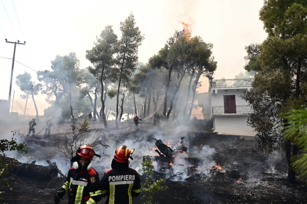 Φωτιά στη Δυτική Αττική: Το 64% των δασών της περιοχής κάηκε μέσα στα 10 τελευταία χρόνια