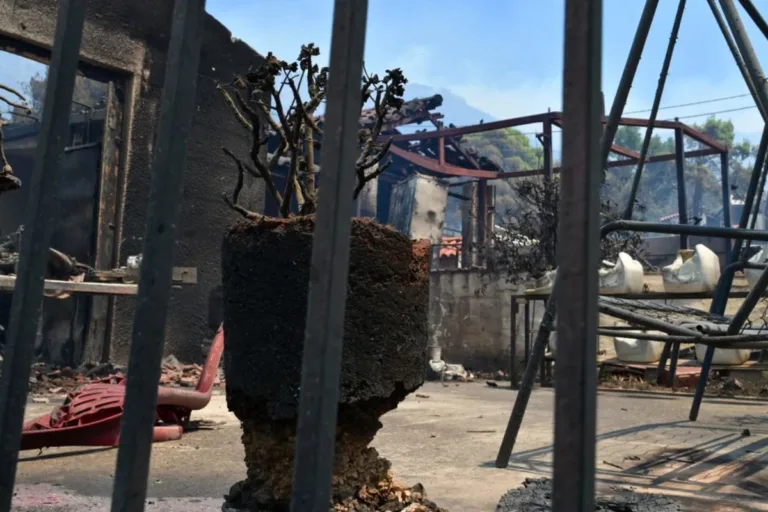 Έκτακτα μέτρα για πυρόπληκτους – Επιδότηση ενοικίου και 100% αποζημίωση για σπίτια που επλήγησ