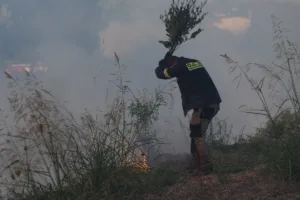 Φωτιές σε Μέτσοβο, Κιλκίς και Ηλεία: Υπό έλεγχο και χωρίς ενεργά μέτωπα